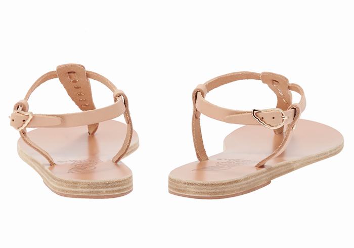 Sandales Bride Arrière Ancient Greek Sandals Lito Bee   | AAW-0390896